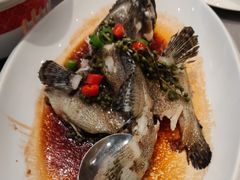 -东方御宴海鲜酒楼(棕泉酒店)
