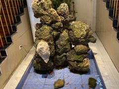 -品味村.烤鸭(新中街店)