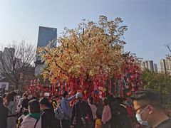 -合肥融创乐园