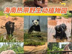 -海南热带野生动植物园