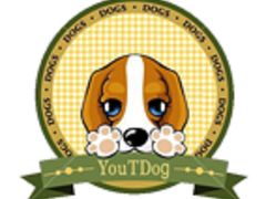 -优缇多格专业宠物美容师培训学校