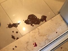 -暖阳宠物医院·犬猫康复中心·骨科