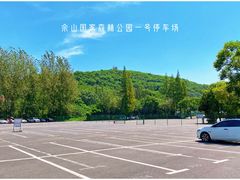 -上海佘山国家森林公园东门地面停车场