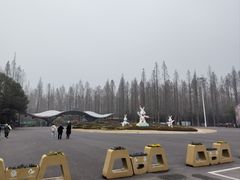 -东平国家森林公园