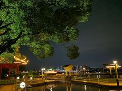 -君来湖滨饭店·玫瑰园
