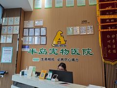 -半岛宠物医院24小时·内窥镜·牙科·碎石中心(府城大道店)