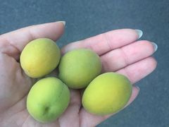 -吉林省自然博物馆