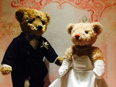 -济州岛泰迪熊博物馆