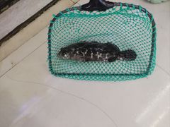 -鑫鸿达·海鲜闽菜热炒小馆(中山路店)