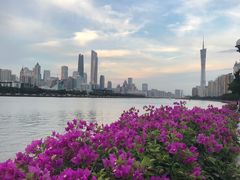 -珠江夜游广州塔·中大码头