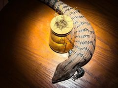 -抱暴龙爬宠·异宠·撸宠撸爬主题馆(大学路店)