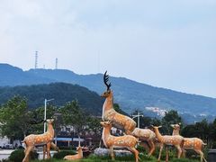 -大鹿岛