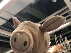 -宜家家居(哈尔滨商场店)