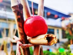 -野鸭湖国家湿地公园