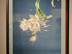 -深圳博物馆(古代艺术馆)