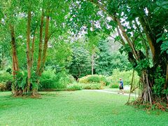 -中国科学院西双版纳热带植物园