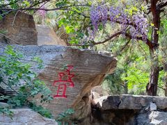 -玲珑塔公园
