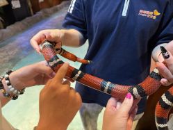 -酷嗒动物文化乐园(cutezoo西溪乐天城店)