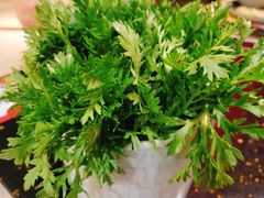 -成都老码头火锅(旺角店)