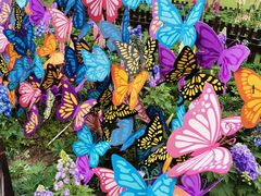 -上海植物园·停车场