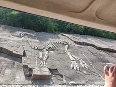 -哈尔滨北方森林动物园