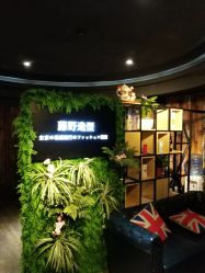 点击看大图 -藤野造型