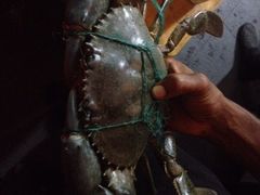 iphone_upload_pic-Ministry of Crab(科伦坡店)