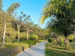 -金鸡岭桥头公园