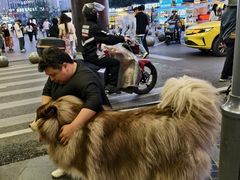-龙湖重庆时代天街