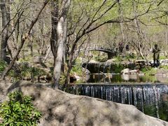 -玉渡山自然风景区