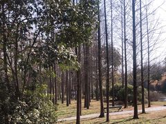 -蜀冈西峰生态公园