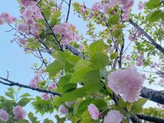 -成都市文化公园