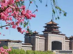 -莲花池公园