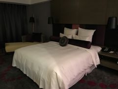 -南京禄口机场雅高铂尔曼大酒店