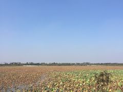 景点-东丽湖风景区