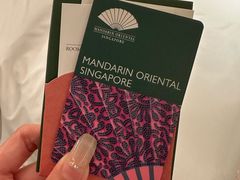 -新加坡文华东方酒店