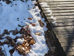 -帽儿山国家森林公园