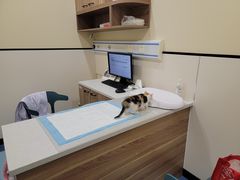 -萌兽医馆·犬猫专科·眼科中心·宠物医院(朝阳门分院)