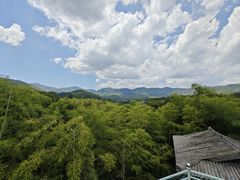 -陶祖圣境风景区