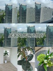 -HEYAN荷妍专业脱毛连锁机构