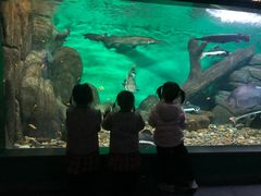 -常州海昌海洋探索馆