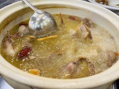 -鸽鸟轩(石岐店)