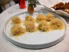 -丁老爷子苏香圆
