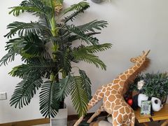 -ins森林童话餐厅coffee&bistro