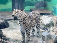 -昆明动物园