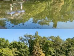 -上海共青森林公园