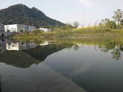 -湘湖金融镇