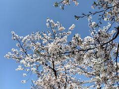 -龙美术馆(西岸馆)