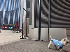 -国家会展中心