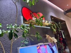 -花隐·美芙炫海菲秀皮肤管理中心